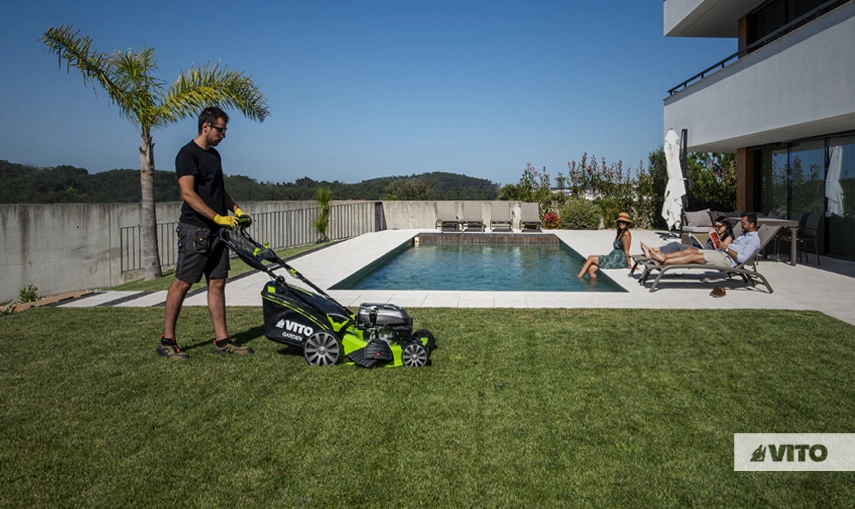 Tips for Looking After Your Lawn