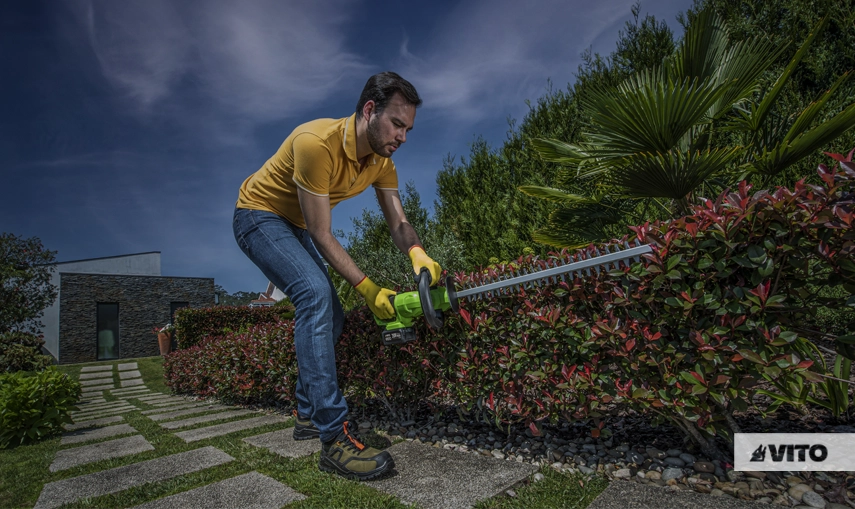 Como Manter um Jardim Saudável